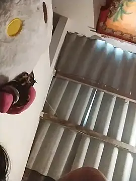 AlexaWarner online show from 13, 11, 2025