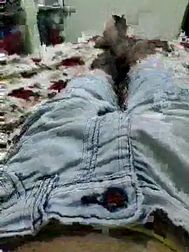 thegoodboy6060 online show from 9, 9, 2025