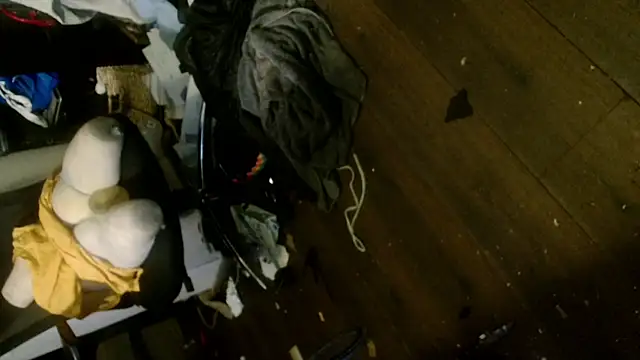 Gigadickman online show from 6, 1, 2025