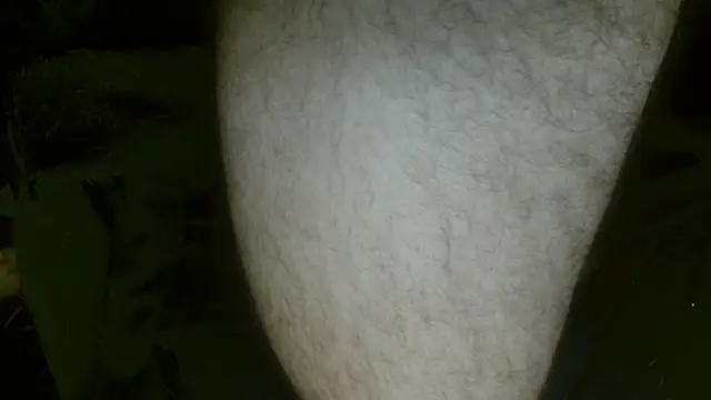 Gigadickman online show from 27, 2, 2025