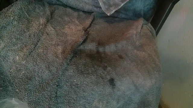 Gigadickman online show from 14, 1, 2025