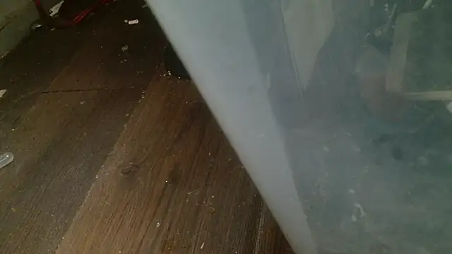 Gigadickman online show from 27, 2, 2025