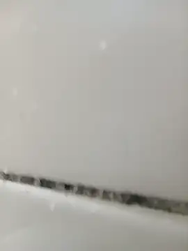 lele9457 online show from 21, 10, 2025