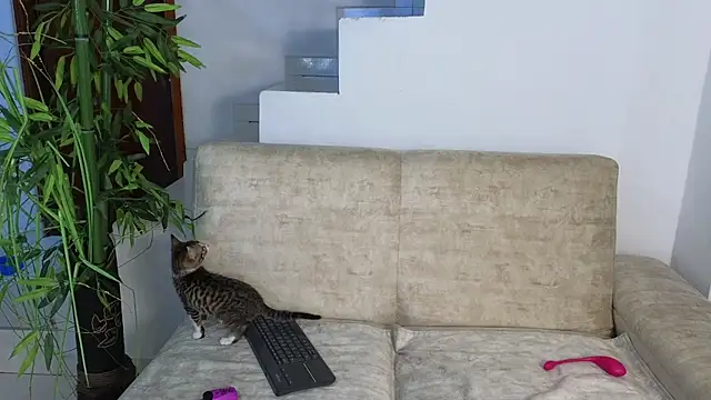 Snapshot of Lorenne_Miller chatting on 20, 10, 2025 Lorenne Miller online show from 20, 10, 2025