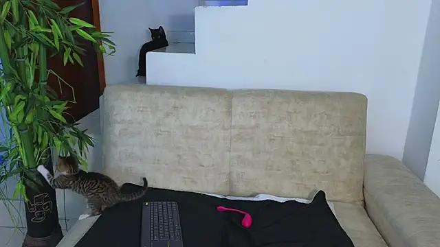 Snapshot of Lorenne_Miller chatting on 21, 10, 2025 Lorenne Miller online show from 21, 10, 2025