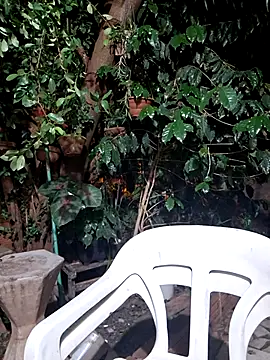 Sweet-diamondxxx online show from 15, 11, 2025