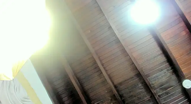 ariana-martins online show from 6, 3, 2025