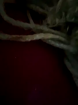 sammoura01 online show from 25, 9, 2025