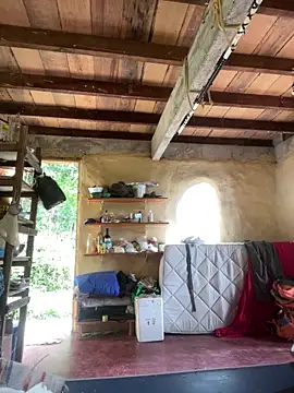 sammoura01 online show from 2, 4, 2026