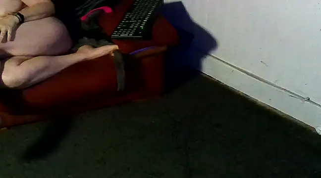 cplf2024 online show from 26, 2, 2025