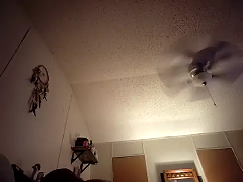 spuncock4u online show from 18, 11, 2025