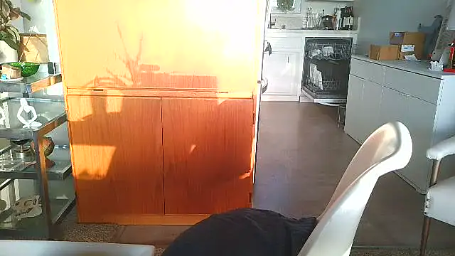 costanza7070 online show from 15, 12, 2025