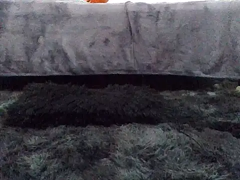 Gibbzmx online show from 19, 9, 2025