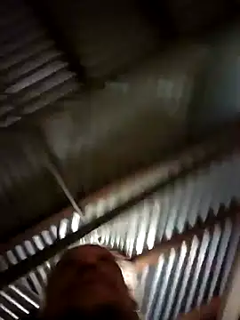 Wildherb244 online show from 5, 12, 2024