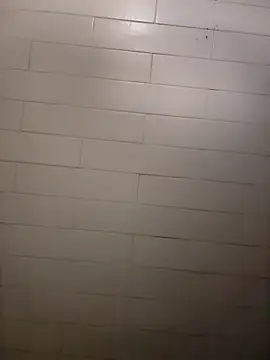 Wildherb244 online show from 21, 12, 2024