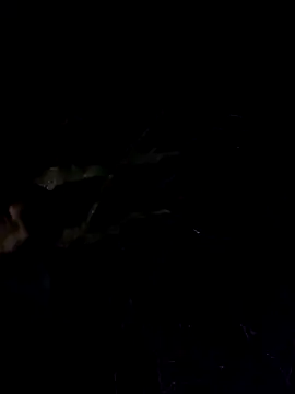 Wildherb244 online show from 4, 12, 2024