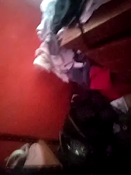 VL25DN26 online show from 5, 4, 2026