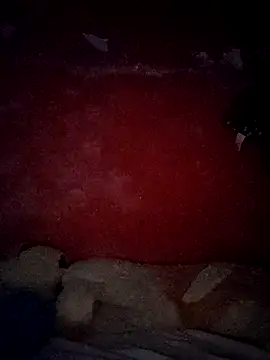 VL25DN26 online show from 30, 10, 2025