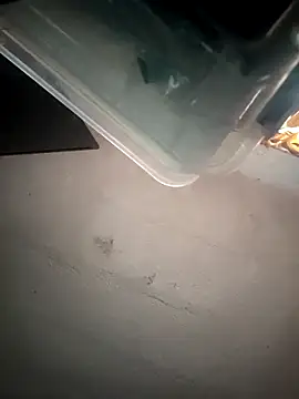 VL25DN26 online show from 9, 3, 2026