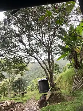 FlpGmz online show from 22, 3, 2026