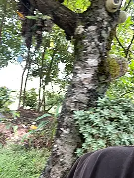 FlpGmz online show from 15, 10, 2025