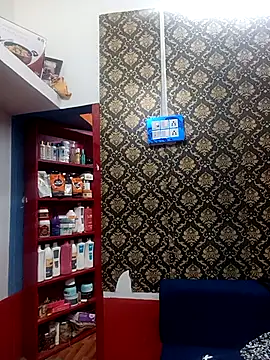 miyaababy online show from 13, 9, 2025