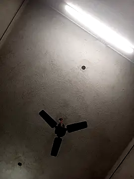 miyaababy online show from 12, 2, 2026