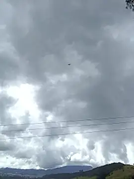 Cuervo maniaco online show from 16, 11, 2025