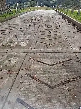 Cuervo maniaco online show from 12, 10, 2025