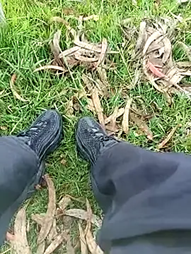 Cuervo maniaco online show from 14, 11, 2025