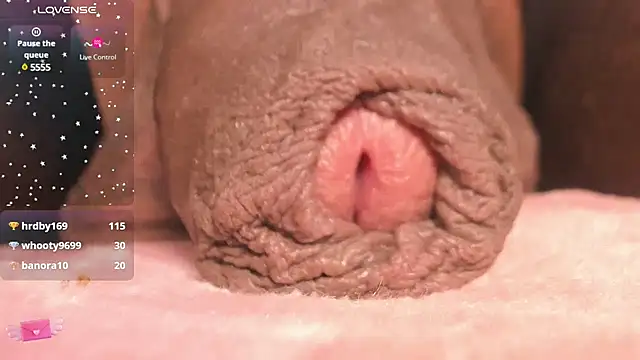 CharlotteLauren online show from 9, 3, 2025