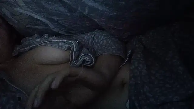 MarieFerguson online show from 3, 12, 2024