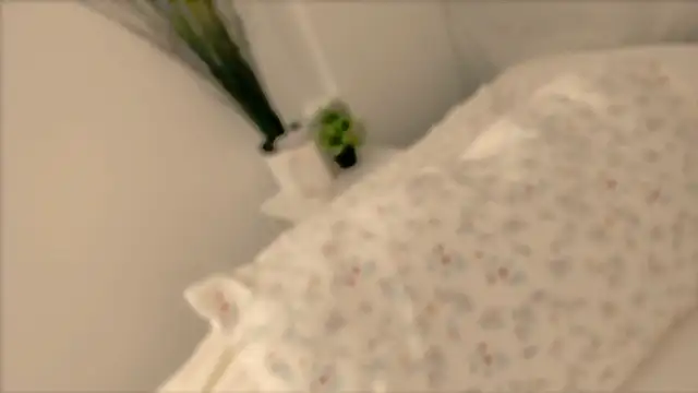  cherry bloss  online show from 28, 11, 2025