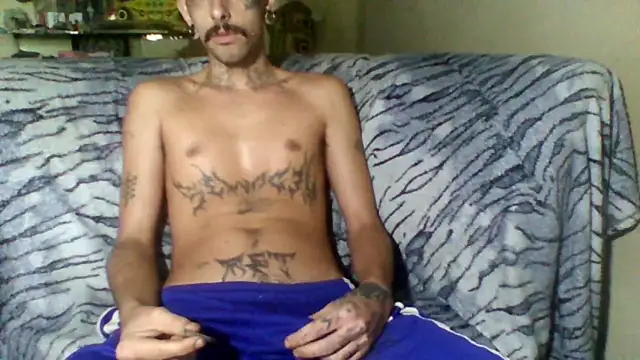 Snapshot of sellvageria chatting on 8, 2, 2026 sellvageria online show from 8, 2, 2026