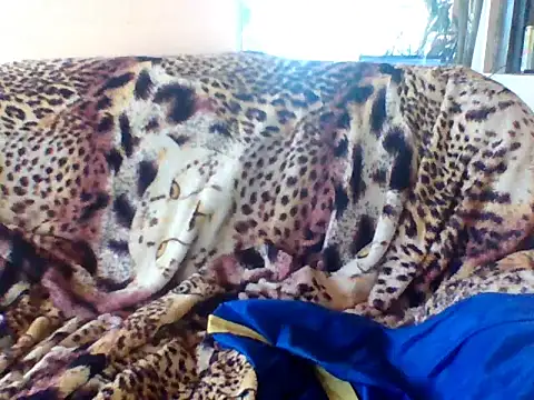 sellvageria online show from 21, 9, 2025