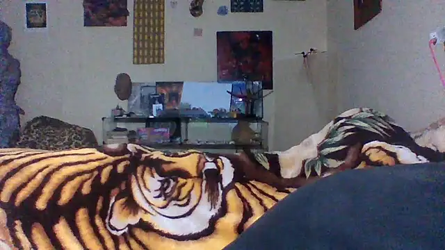 sellvageria online show from 9, 10, 2025