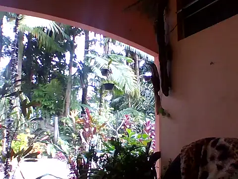 sellvageria online show from 4, 10, 2025