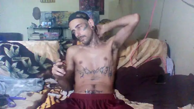 sellvageria online show from 30, 11, 2025