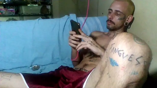 sellvageria online show from 15, 11, 2025