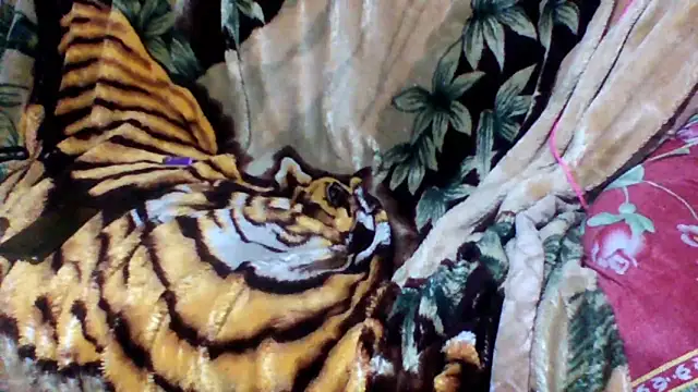 sellvageria online show from 12, 10, 2025