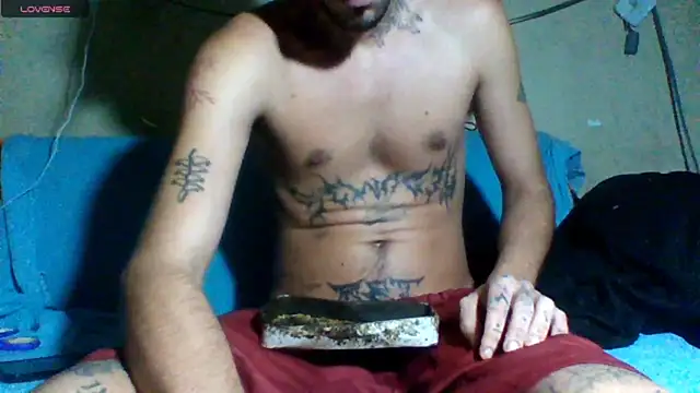 sellvageria online show from 12, 3, 2026