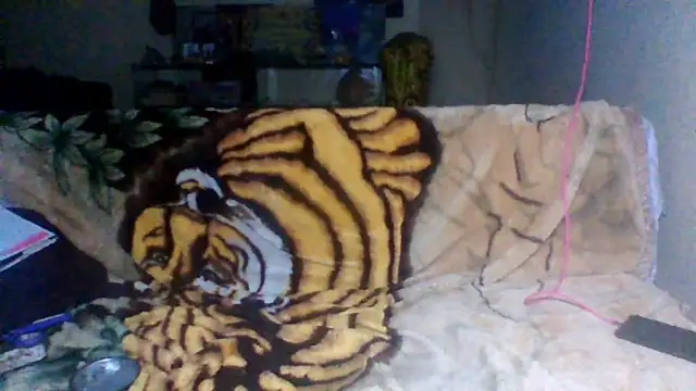 sellvageria online show from 30, 11, 2025