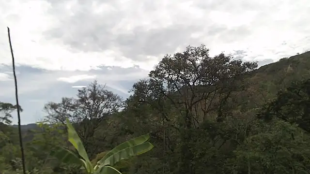 andreu mature online show from 2, 10, 2025