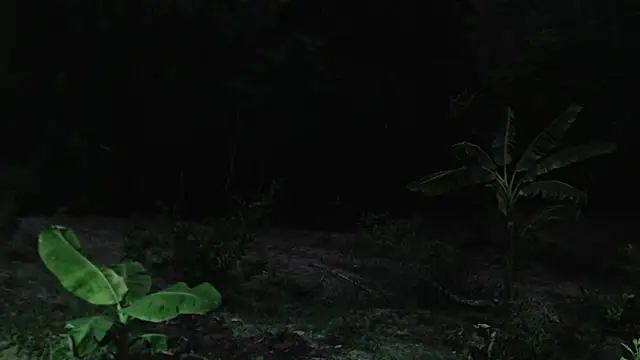 andreu mature online show from 1, 10, 2025