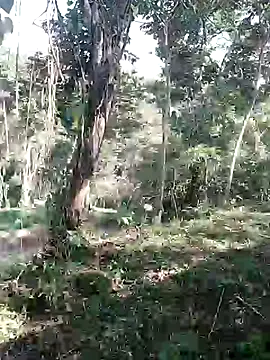 andreu mature online show from 11, 2, 2026