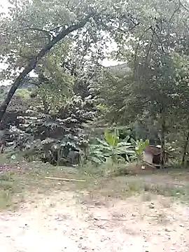 andreu mature online show from 21, 2, 2026