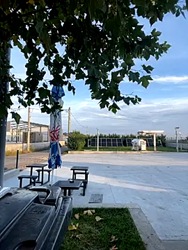 baramadalin online show from 26, 10, 2025