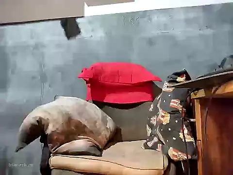 bumbumtatuado online show from 13, 1, 2026