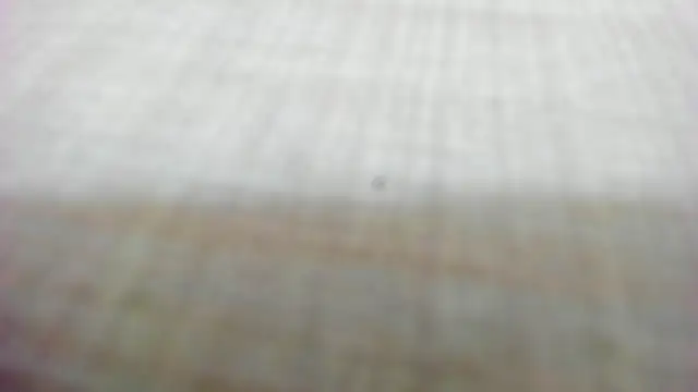 AishaRouhi online show from 14, 2, 2026