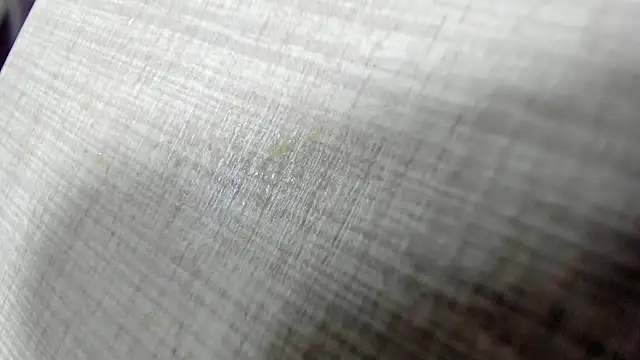 AishaRouhi online show from 11, 4, 2026